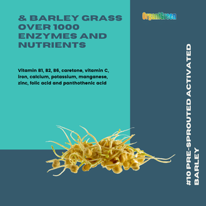 Pre-sprouted Barley Grass