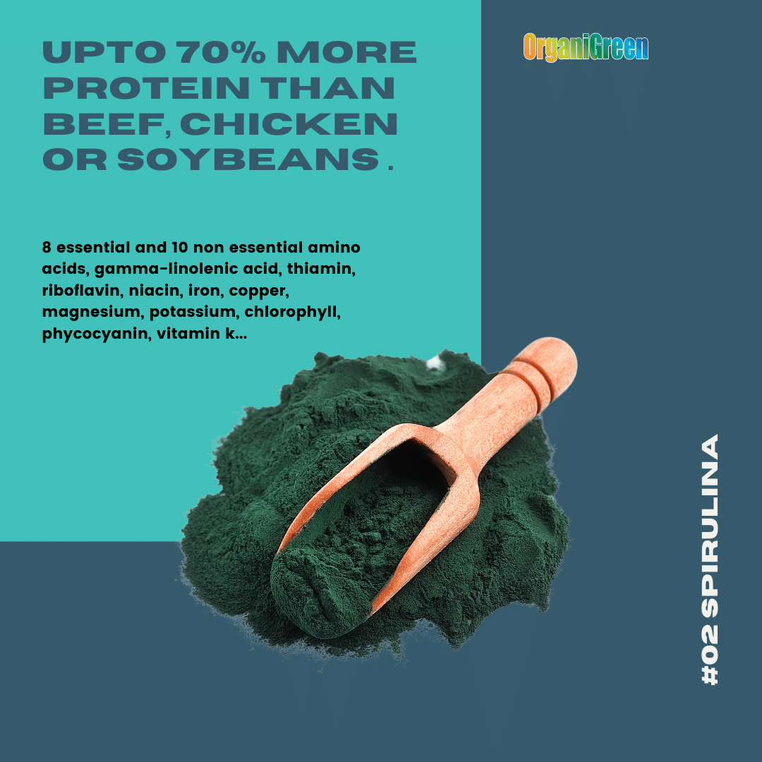 Spirulina in our OrganiGreen Longevity™