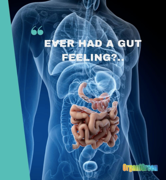 Ever had a gut feeling? A sense of something?
