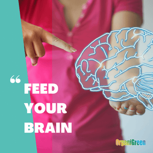Feed Your Gut Bacteria for Brain Health
