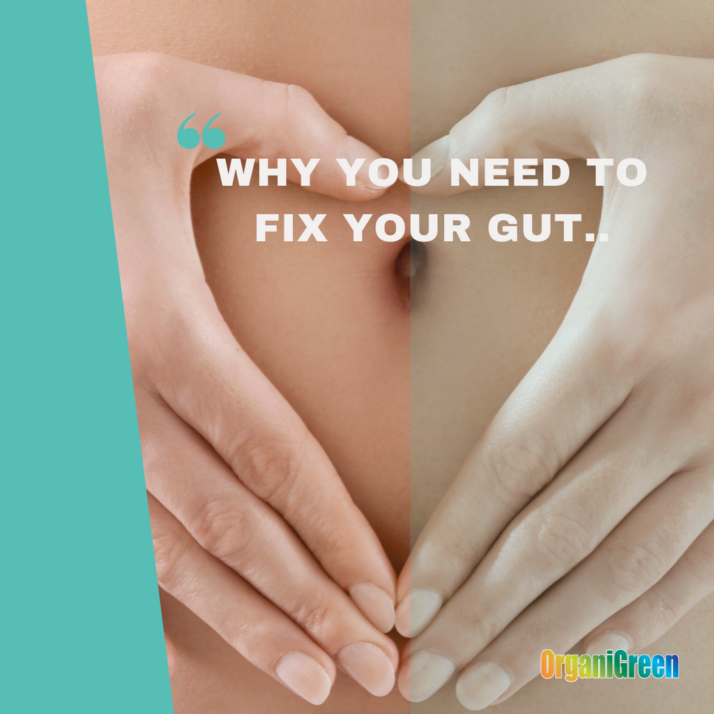 WHY YOU NEED TO FIX YOUR GUT