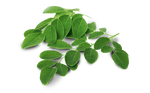 change-nutrition-and-supplements - OrganiGreen Triple OFFER with FREE Shaker - 